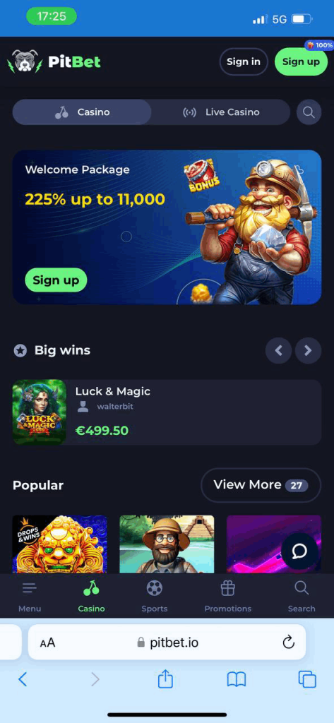 PitBet Mobile Casino 